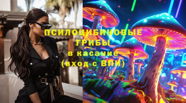 эйфоретик Ельня
