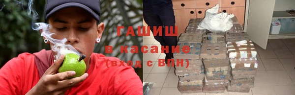 гидра Гусев