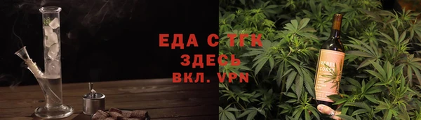 гидра Гусев