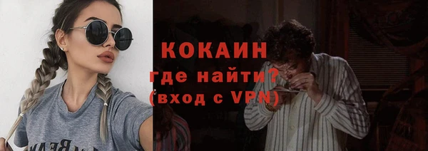 гидра Гусев