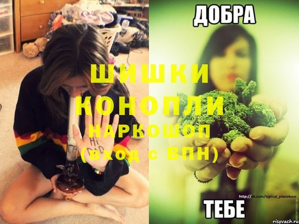 стаф Дмитров