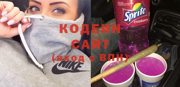 эйфоретик Ельня