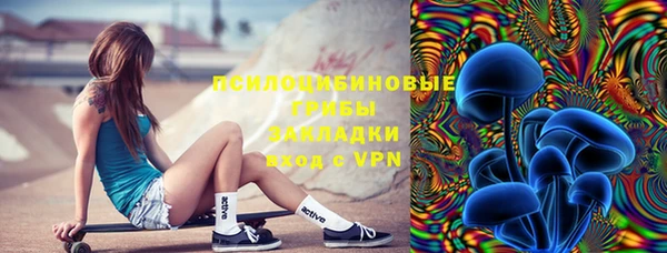 стаф Дмитров