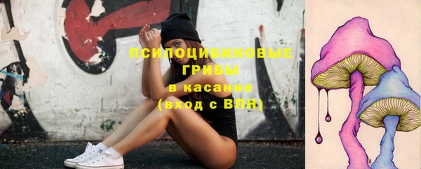 ALPHA PVP Дмитриев