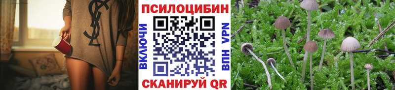 Купить где  Семёнов  Галлюциногенные грибы Psilocybe 